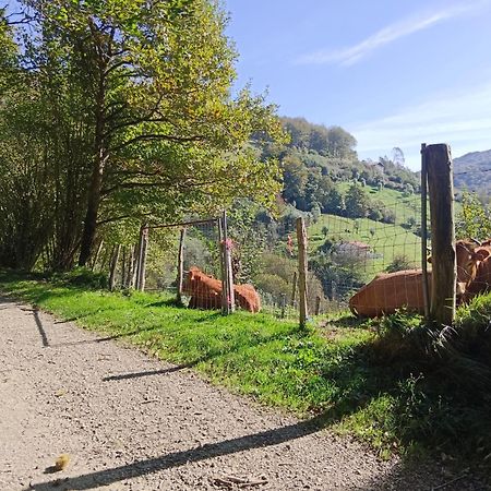 Hostal-Cicloturismo Lopenea Лейца Екстер'єр фото